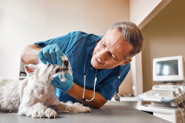 Best Emergency Broken Tooth Repair in Tehachapi, CA